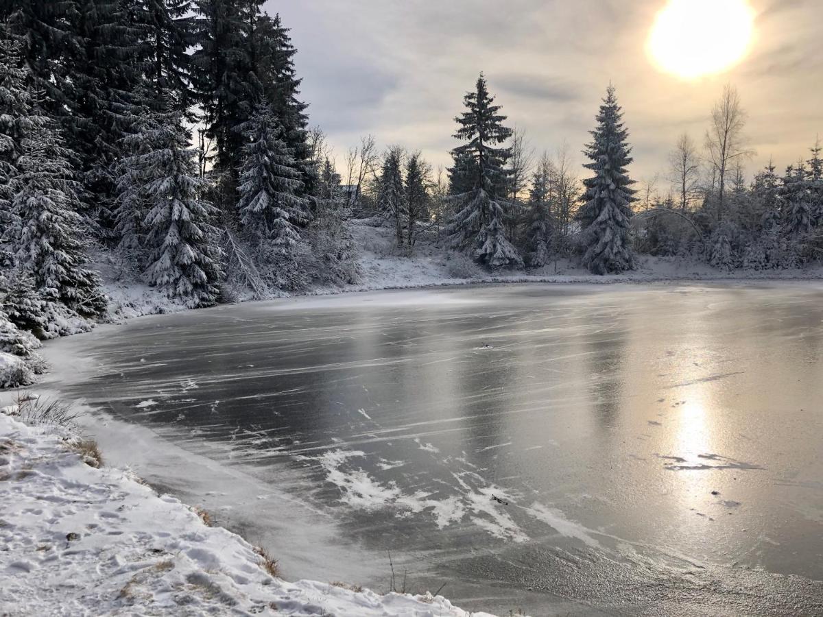 Apartmán Ela Horní Blatná Exteriér fotografie