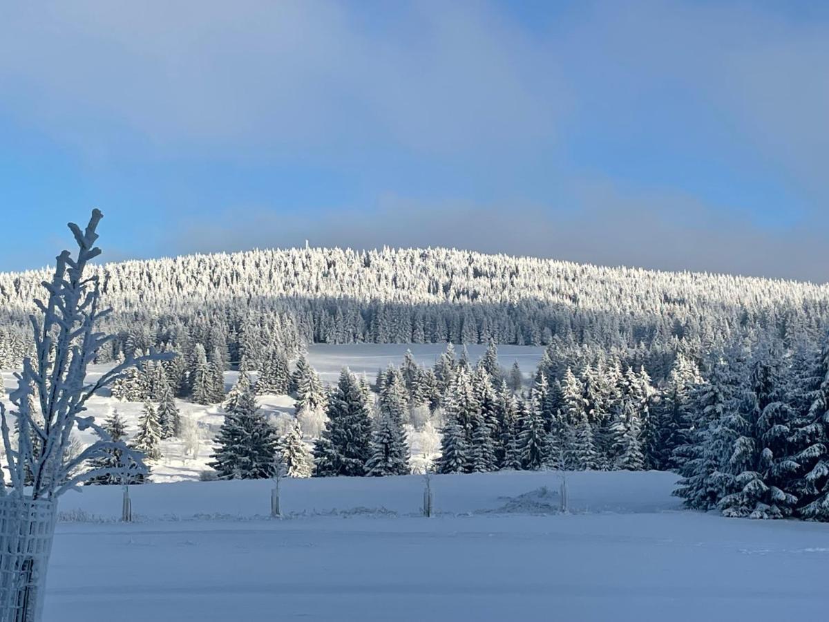 Apartmán Ela Horní Blatná Exteriér fotografie