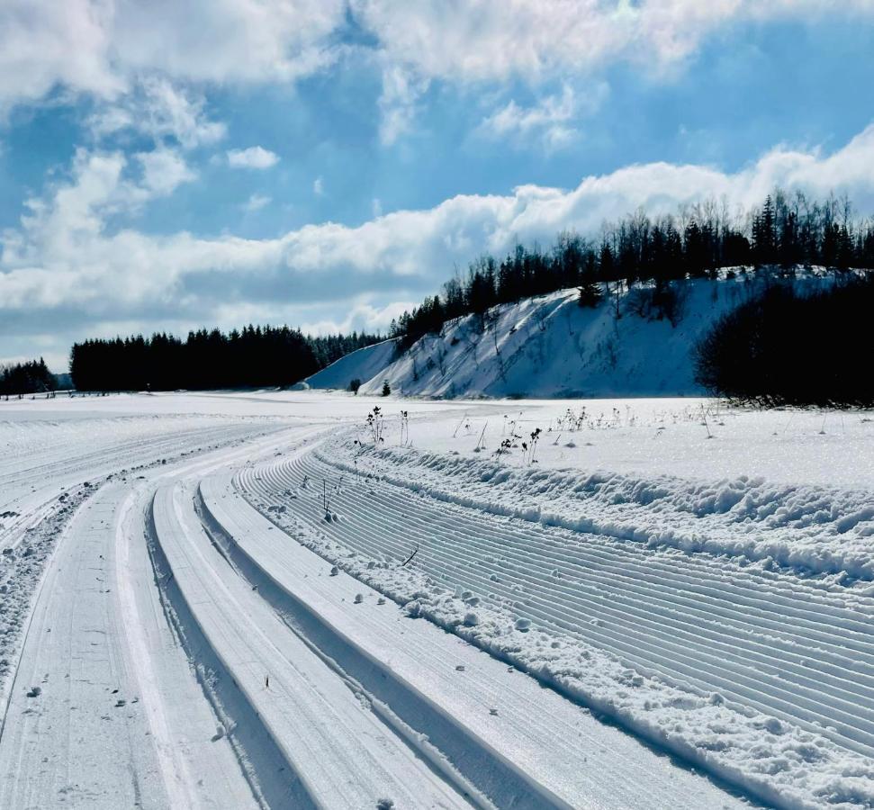 Apartmán Ela Horní Blatná Exteriér fotografie
